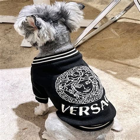 versace dog accessories.